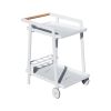 Aluminum White Indoor/Outdoor Patio Serving Dual-layer Cart with Teak Handle - White