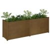 Garden Planter Honey Brown 78.7"x19.7"x27.6" Solid Wood Pine - Brown